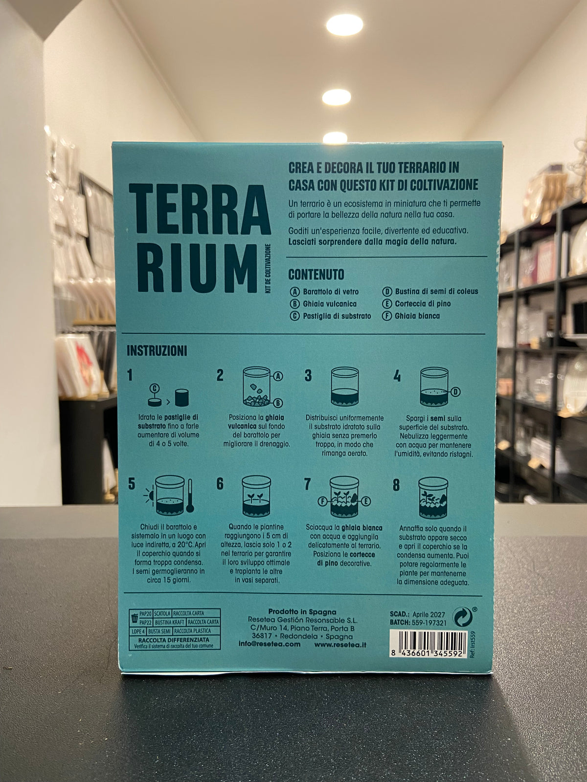 TERRARIUM - Crea il tuo ecosistema
