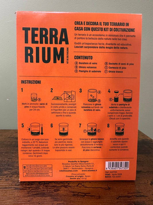 Ecosistema pino - TERRARIUM