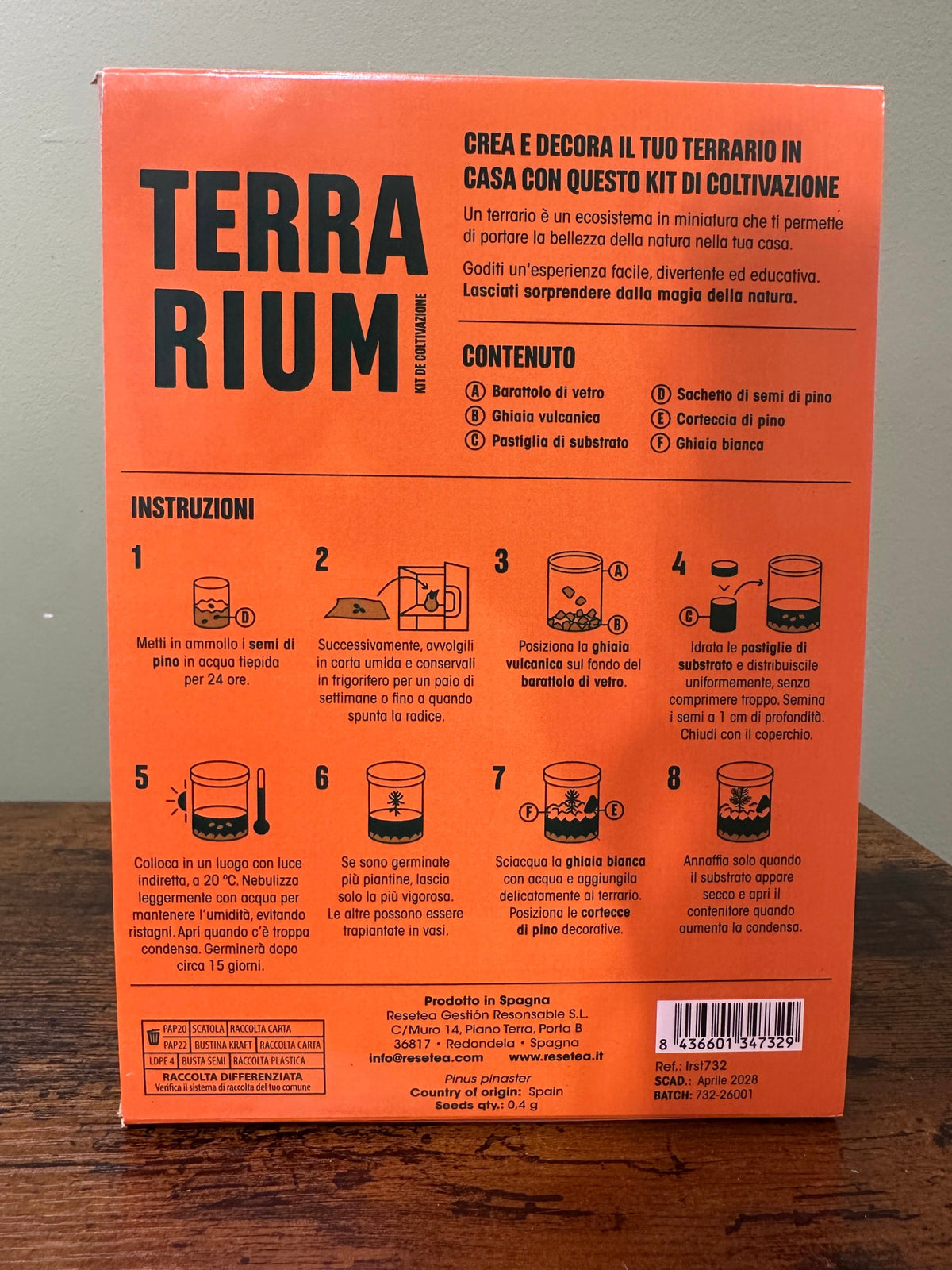 Ecosistema pino - TERRARIUM