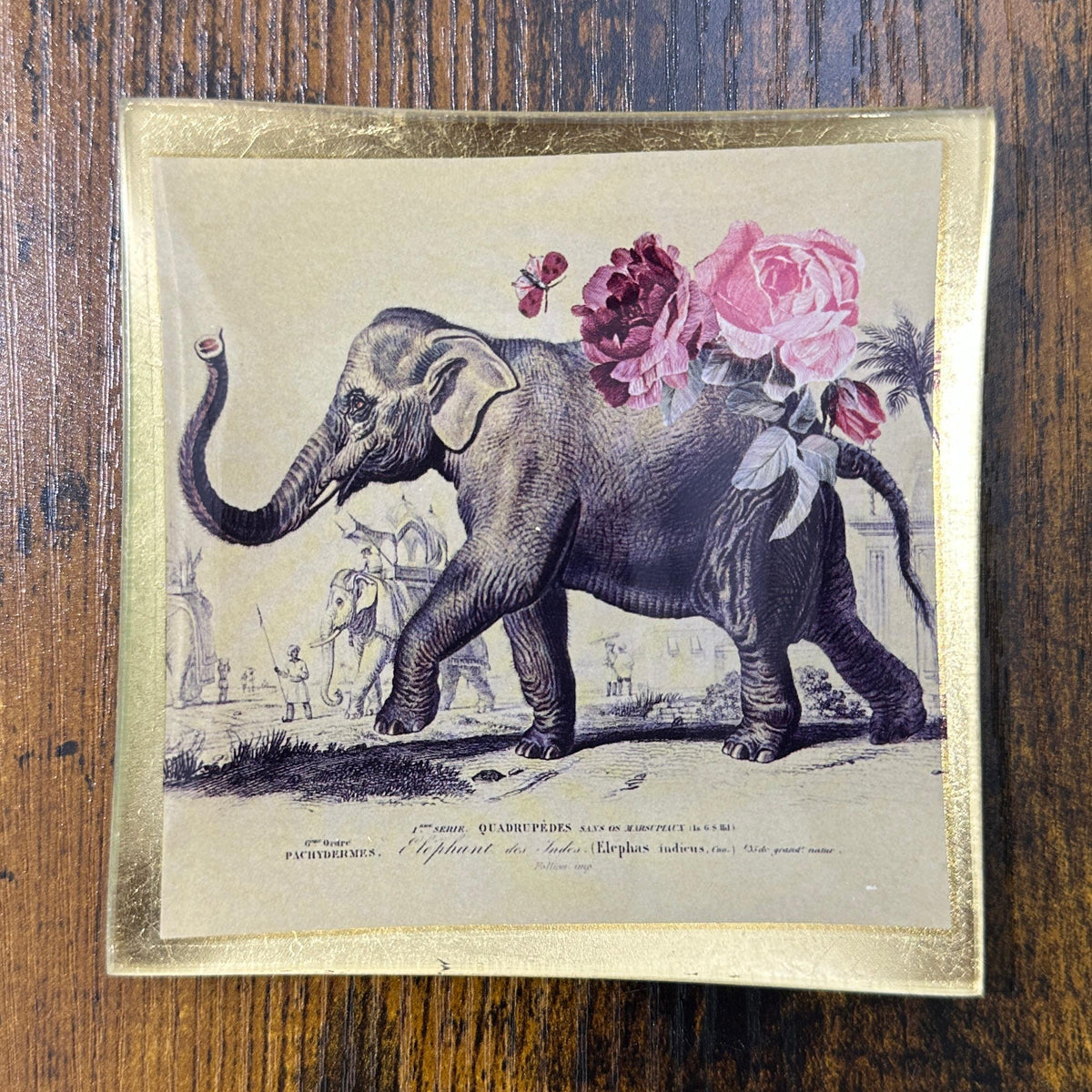 Piattino in vetro - Elefante