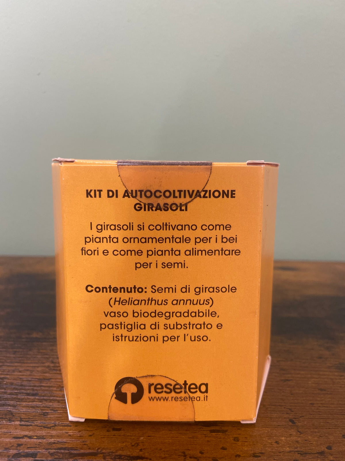 Kit coltivazione - Girasoli