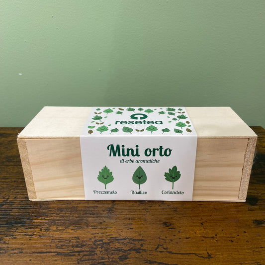 Kit coltivazione - Erbe aromatiche