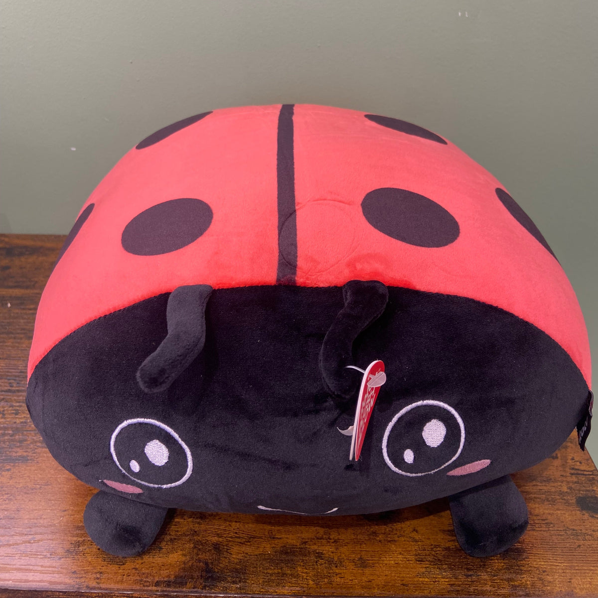 Cuscino - coccinella