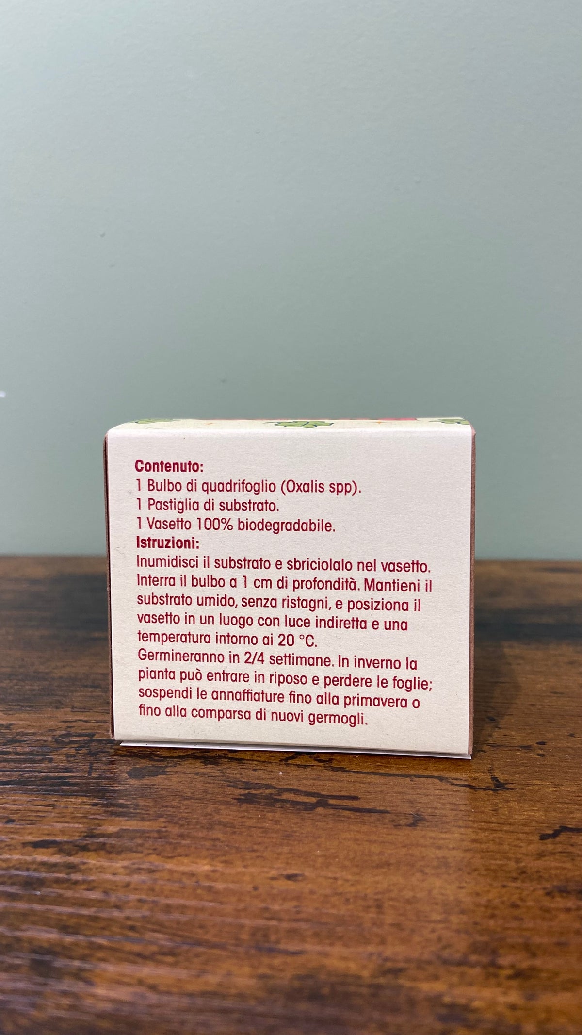 Kit coltivazione - buona fortuna quadrifoglio