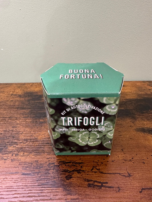Kit coltivazione trifogli