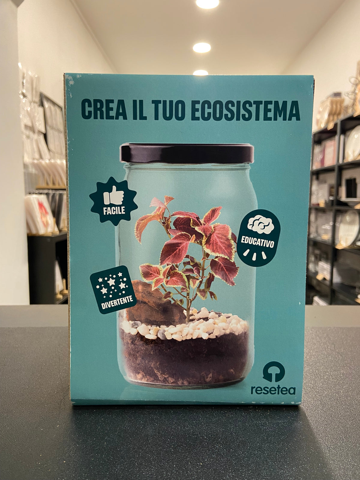 TERRARIUM - Crea il tuo ecosistema