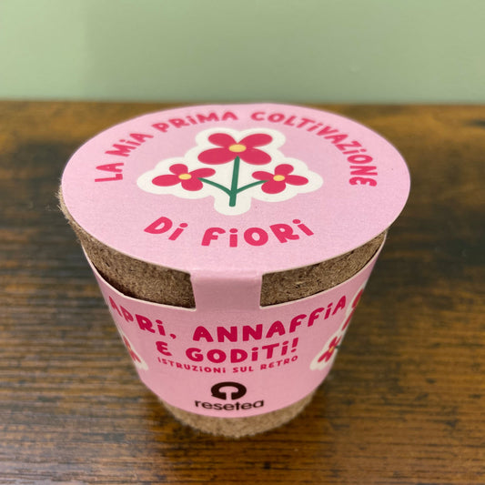 Kit prima coltivazione - Fiori