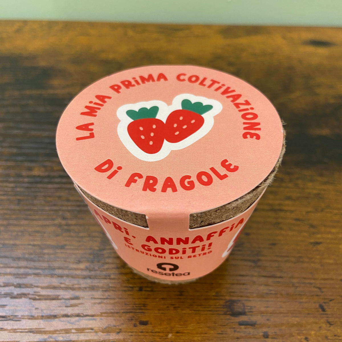 Kit prima coltivazione - Fragole